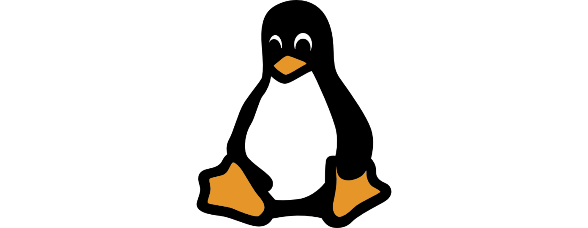 리눅스 파일 정보 확인하기